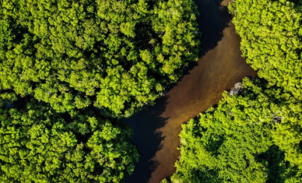 Amazzonia: terre indigene garanzia contro la deforestazione. I risultati di una ricerca